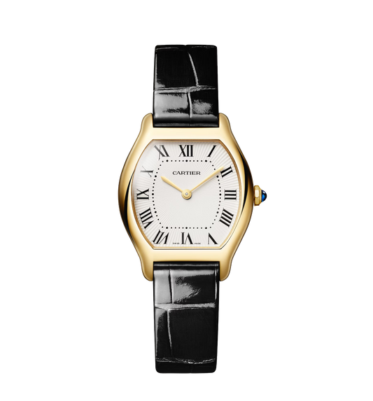 Tortue Watch